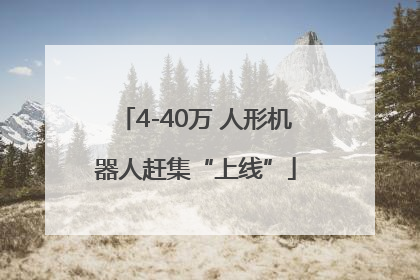 4-40万 人形机器人赶集“上线”
