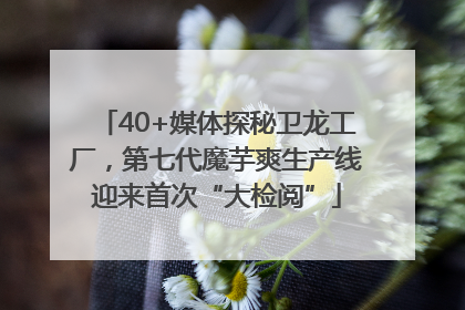 40+媒体探秘卫龙工厂，第七代魔芋爽生产线迎来首次“大检阅”