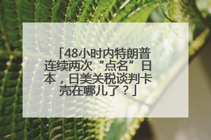 48小时内特朗普连续两次“点名”日本，日美关税谈判卡壳在哪儿了？