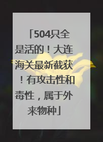 504只全是活的！大连海关最新截获！有攻击性和毒性，属于外来物种