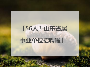 56人！山东省属事业单位招聘啦