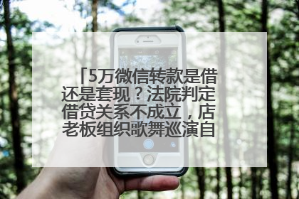 5万微信转款是借还是套现？法院判定借贷关系不成立，店老板组织歌舞巡演自我“恢复名誉”