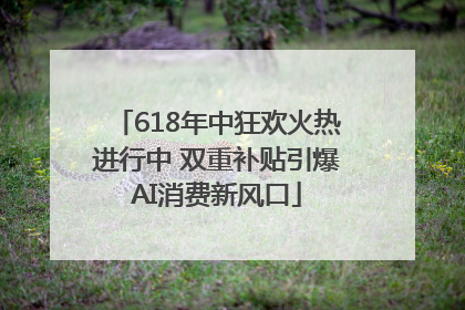 618年中狂欢火热进行中 双重补贴引爆AI消费新风口