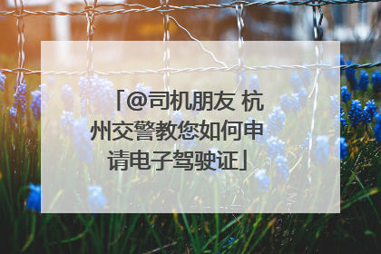 @司机朋友 杭州交警教您如何申请电子驾驶证
