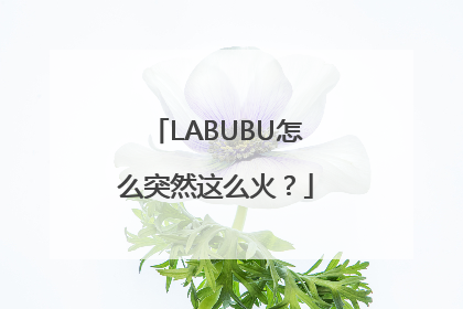 LABUBU怎么突然这么火？